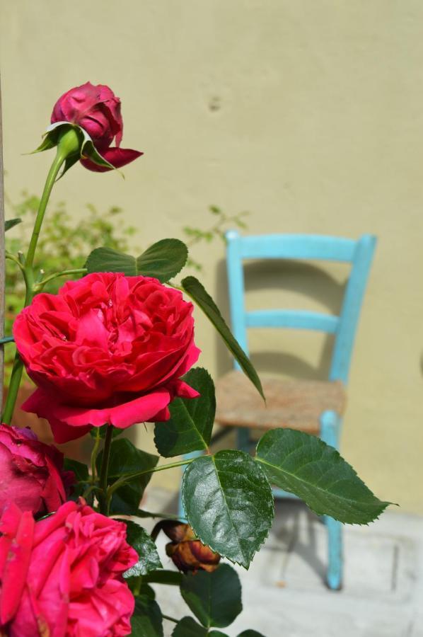 B&B Lady Cocca Savio di Ravenna Kültér fotó